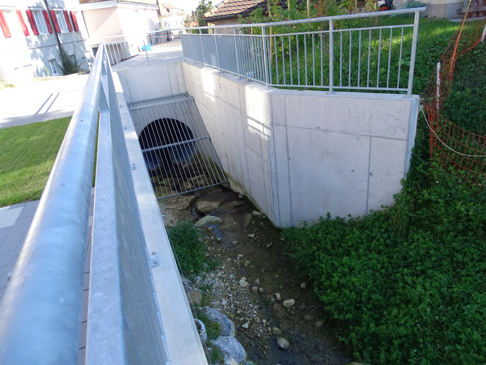 Dorfbach 12 Dorfbach 12