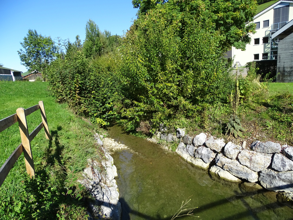 Dorfbach 19 Dorfbach 19