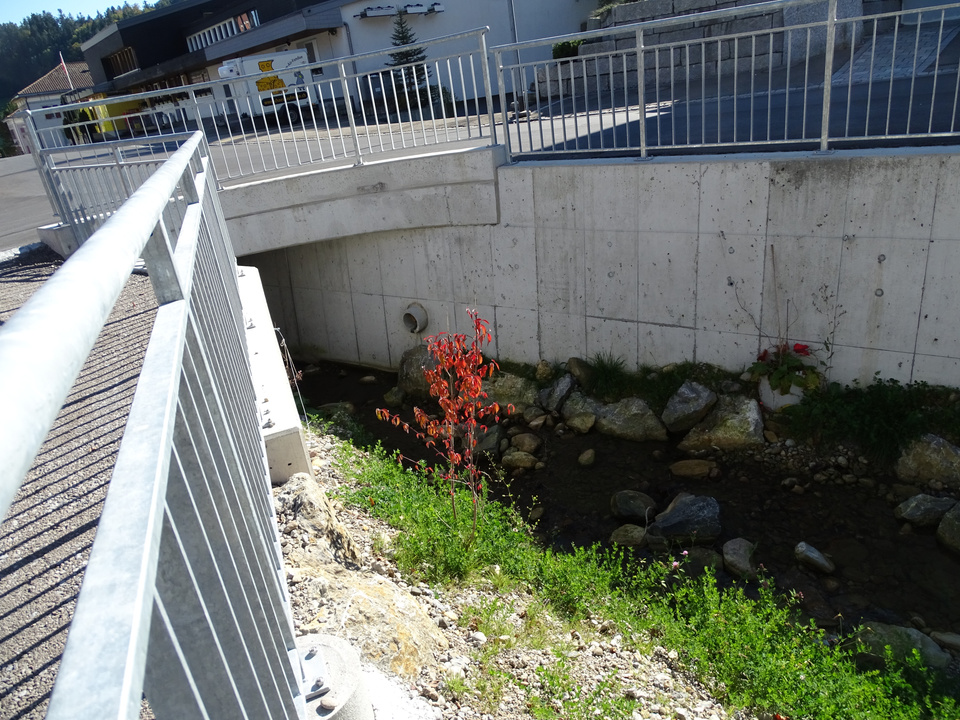 Dorfbach 8 Dorfbach 8