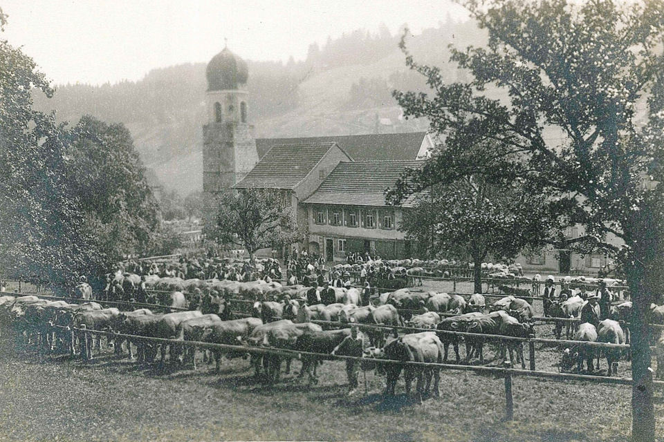 Jungviehschau Bärenwiese, Jahr 1926