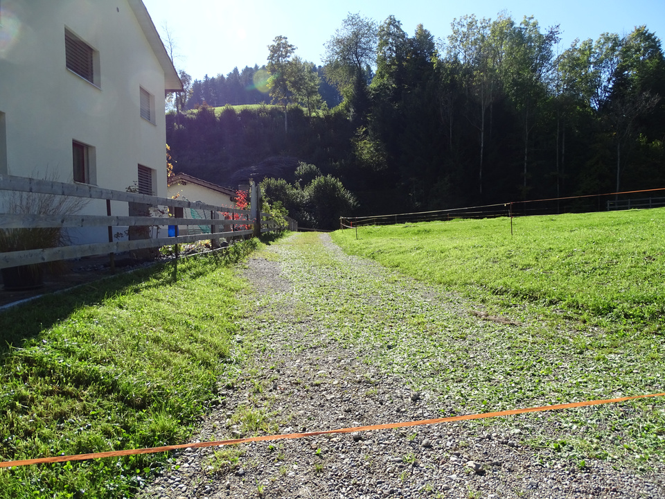 Dorfbach 1 Dorfbach 1