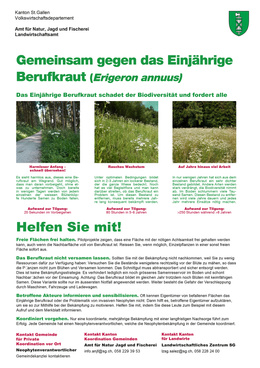Gemeinsam gegen das Einjährige Berufkraut SG_nach AWEL ZH Helfen Sie mit!